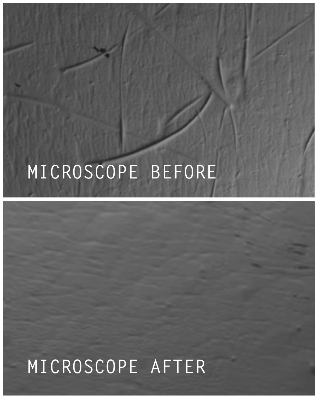 NIMBI Disposable Razor. Pack of 4